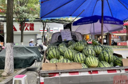吃瓜成都网课,吃瓜群众热议网课现象